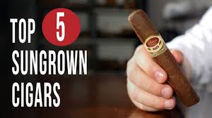 Image result for images top cigars