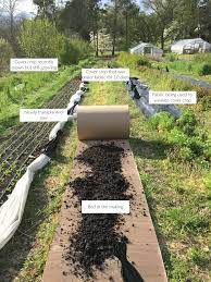 Rather than using plows, spades, hoes, or other tools to routinely turn over soil, it is more or less left alone. No Till Flower Bed Preparation Using Cardboard And Mulch