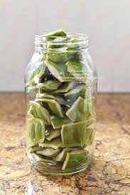 Kutu loncat (diaphorina citri.) a). Fha Selemak Santan Jeruk Petai Jom Diy Lebih Sedap Lebih Terjamin Kebersihan
