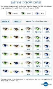 Genetic Eye Color Predictor Chart Helps If Working With