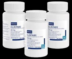 Image result for Clindamycin