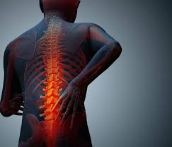 Pin On Health