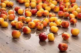It's large, yellow fruit with red blush is extremely sweet and delicious. 7 Secrets Of Rainier Cherries Stemilt