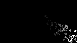 Aesthetic black background 5 » background check all. White Leaves On Side With Dark Black Background Hd Black Aesthetic Wallpapers Hd Wallpapers Id 53390