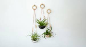 For this diy plant stand project, all you need is 2 sturdy metal stands. Diy Projects Sunset Magazine