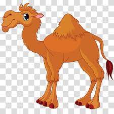 292 transparent png illustrations and cipart matching cartoon camel. Cartoon Camel Transparent Background Png Cliparts Free Download Hiclipart