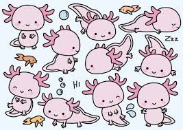Drawing Cute Kawaii Adorable Axolotl Novocom Top