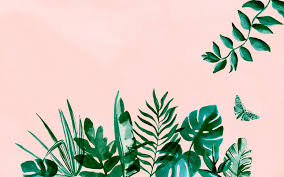 Http Www Designlovefest Com Wp Content Uploads Downloads 2017 05 Dlf Jungle Aesthetic Desktop Wallpaper Laptop Wallpaper Desktop Wallpapers Laptop Wallpaper