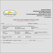 Volusia County Permit Over 50 Beach Area Wedding Planner New Smyrna Beach Daytona Beach Ormond Beach Palm Coast And Ponce Inlet Florida