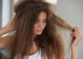 Especially dry hair owners use hair serum to save from damage. Benefits And Uses Of Hair Serums To Try Out Femina In