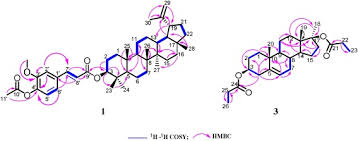 Image result for Dictyophleba lucida