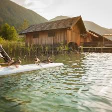 Hier erfahren sie sämtliche informationen zur ferienregion weissensee in kärnten. Haus Wulfenia Urlaub Am Weissensee Im Haus Wulfenia