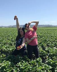 Sami Springman S Instagram Post A Kappa And An Adpi Go Strawberry Picking Instagram Posts Strawberry Picking Instagram