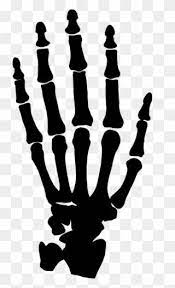 Hand Clipart Black And White Png Skeleton Hand Clipart Png Transparent Png Clipart Black And White Hand Clipart Skeleton Hands
