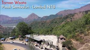 Di taman wisata pusuk, kamu bisa menyaksikan keindahan gunung rinjani yang dikelilingi hutan hijau nan lebat. Taman Wisata Pusuk Sembalun Di Pulau Lombok Ntb Youtube