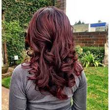 Images For Cherry Brown Hair Color With Blonde Highlights Colores De Pelo Marron Pelo Cereza Colores Chocolate De Pelo