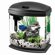 Aqueon Minibow Aquarium Led Starter Kit 1 Gallon Black Walmart Com Aquarium Fish Tank Betta Fish Aquarium Led