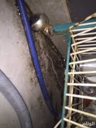 امانة جدة تكشف سبب إغلاق مطعم فطور فارس ارشيف 2015 صحيفة الوئام الإلكترونية