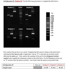 Please Help Me Fill Out And Understand This Chart