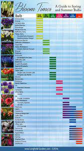 Pin On Gardening