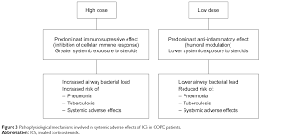 Full Text The Dose Of Inhaled Corticosteroids In Patients