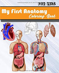 Teaching body parts in french: My First Anatomy Coloring Book Anatomy Coloring Book For Kids Human Body Activity Coloring Book For Kids Body Parts Coloring Book Amazon De Publishing Human Anatomy Fremdsprachige Bucher