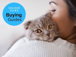 Maybe you would like to learn more about one of these? The Best Cat Dewormer You Can Buy Business Insider India
