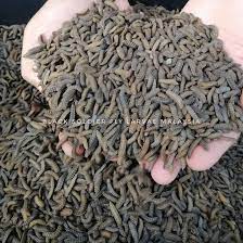 Tahi lalat biasanya lebih banyak. Black Soldier Fly Black Soldier Fly Larvae Malaysia Facebook