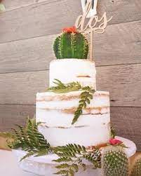 In 2003, joni derome became my partner and came on board , bringing decades of restaurant experience with her.joni helped cactus flower cafe to grow into a multi location restaurant. 110 Cactus Cake Ideas Cactus Cake Cupcake Cakes Cake