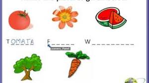 Check spelling or type a new query. 2nd Grade Evs Types Of Plants Questions Answers Worksheets Link In Desc Youtube