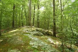 Sackett & Marble/Van Haelewyn-Richards Preserves | Old Trail Head