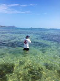 Golden Trevally Picture Of Hi Tide Fishing Honolulu