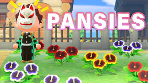 Maybe you would like to learn more about one of these? How To Breed Every Pansy Hybrid Guide Animal Crossing New Horizons Youtube