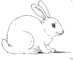 Hase Malen Vorlage Einfach