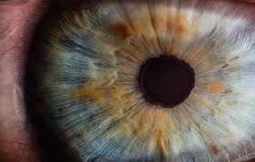 How To Take Close Up Photos Of Eyes Macro Eye Photography