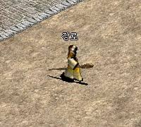 장로