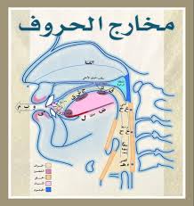 مخارج الحروف Quran Book Islamic Phrases Learn Quran