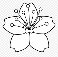 Tripsavvy / marina li you'll never know what kind of weather you'll get during a brooklyn. Freeuse Download Cherries Clipart Black And White Cherry Blossom Flower Coloring Page Png Download 332838 Pinclipart