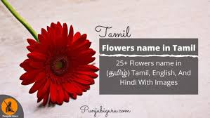 At the end of this post you can download this lesson in the pdf file. 25 Flowers Name In Tamil English And Hindi With Best Images Punjabi Guru