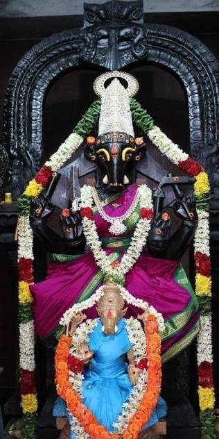 🌹🌿 Varahi Navaratri in 2026 will be observed from July 14 to July 22, 2026  (spanning from Ashad Padyami to Navami). These sacred nine days are  dedicated to Goddess Varahi, the fierce