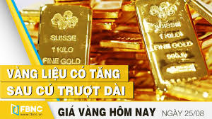 Gia Vang Hom Nay 25 8 2020 Vang Liệu Co Tăng Sau Cu Trượt Dai Fbnc Youtube