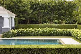 Boxwood can be prone to the fungal disease cylindrocladium buxicola, or box blight. 21 Boxwood Landscaping Ideas 2021 Boxwoods For Front Yard And Backyard