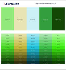 Light green palettes with color ideas for decoration your house, wedding, hair or even nails. 12 Latest Color Schemes With Light Green And Pale Turquoise Color Tone Combinations 2021 Icolorpalette