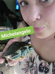 Meet Bill & Ted! These adorable red-eared sliders are active, fun, and  ready for an "excellent adventure" to make a splash in your life! They  thrive in a spacious pond or a
