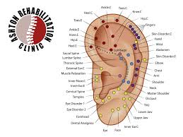 Auricular Acupuncture In Silver Spring Md