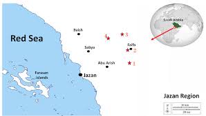 Image result for Pyrostria phyllanthoidea