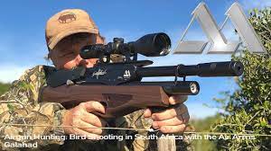 In this video i find myself on route to a farm to control some pest mallard ducks. Airgun Hunting Bird Shooting In South Africa With The Air Arms Galahad Youtube