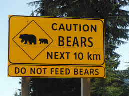 Image result for bear sign