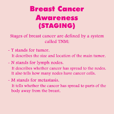 Image result for Breast Cancer Staging