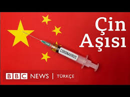 Biontech aşısı mrna (mesajcı rna) tabanlı aşıdır. Koronavirus Asisi Eski Hayatimizi Geri Getirecek Mi Bbc News Turkce